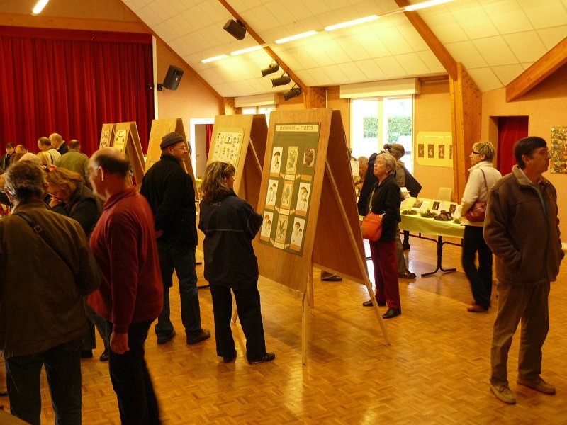 2009 10 Expo champignons de Clairefontaine 13